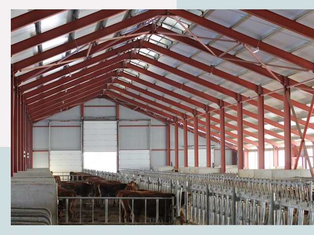 Строительство коровников в Нальчике